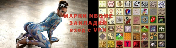 хмурый Пересвет