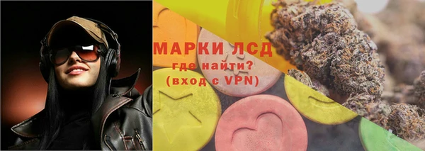 хмурый Пересвет