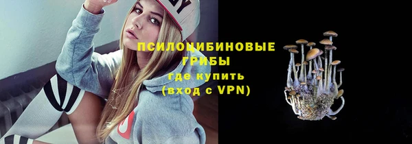 ПСИЛОЦИБИНОВЫЕ ГРИБЫ Осташков