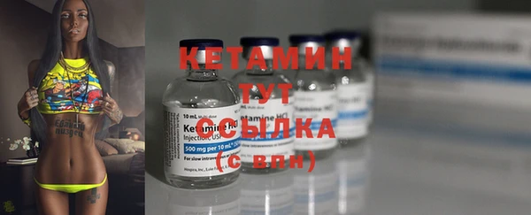 хмурый Пересвет