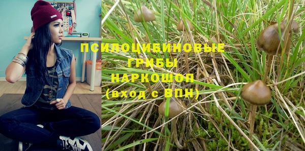 бошки Осинники