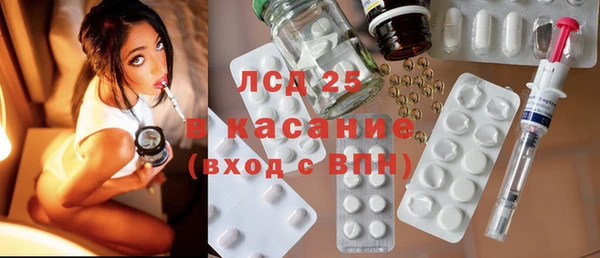 ПСИЛОЦИБИНОВЫЕ ГРИБЫ Осташков