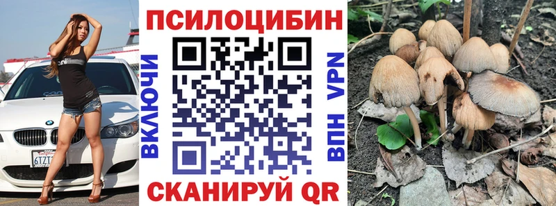 купить Тырныауз MEGA ТОР Псилоцибиновые грибы GOLDEN TEACHER